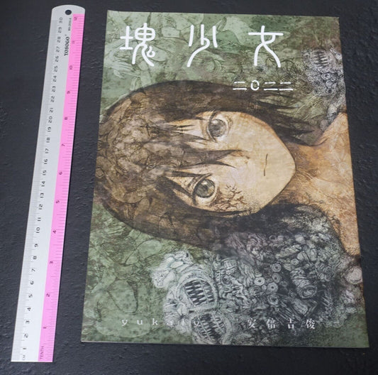 Yoshitoshi Abe Color Art Book Katamari Shojo 2022 