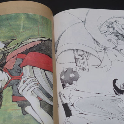 Kei Toume Vampire Lei Lei Rei Rei Fan Art & Comic Book Electric Bat 