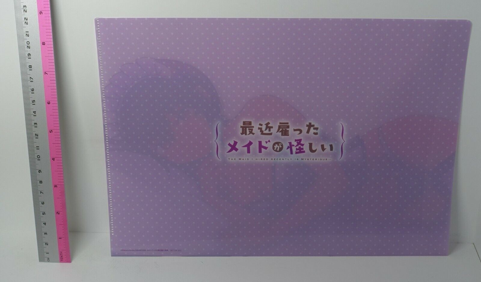 THE MAID I HIRED RECENTLY IS MYSTERIOUS PVC Art Sheet Clear File A 
