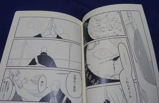 Sikatore Houseki no Kuni Land of the Lustrous Fan Made Comic Hakase no Aishita 