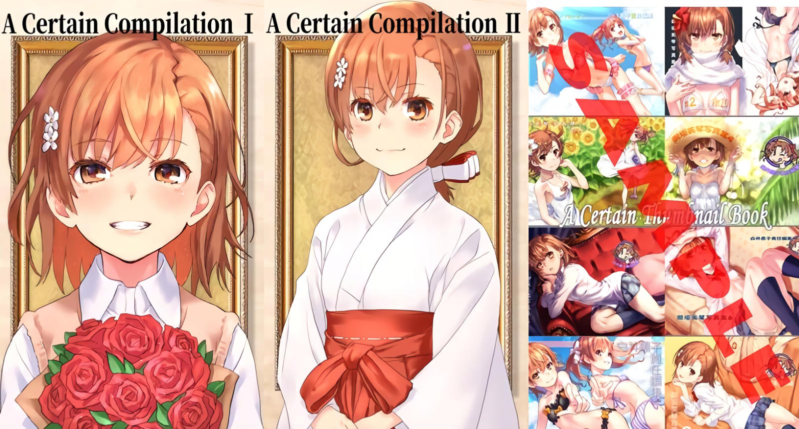 raika9 A Certain Scientific Railgun Fan Art Book 3 Set Misaka Mikoto C98 