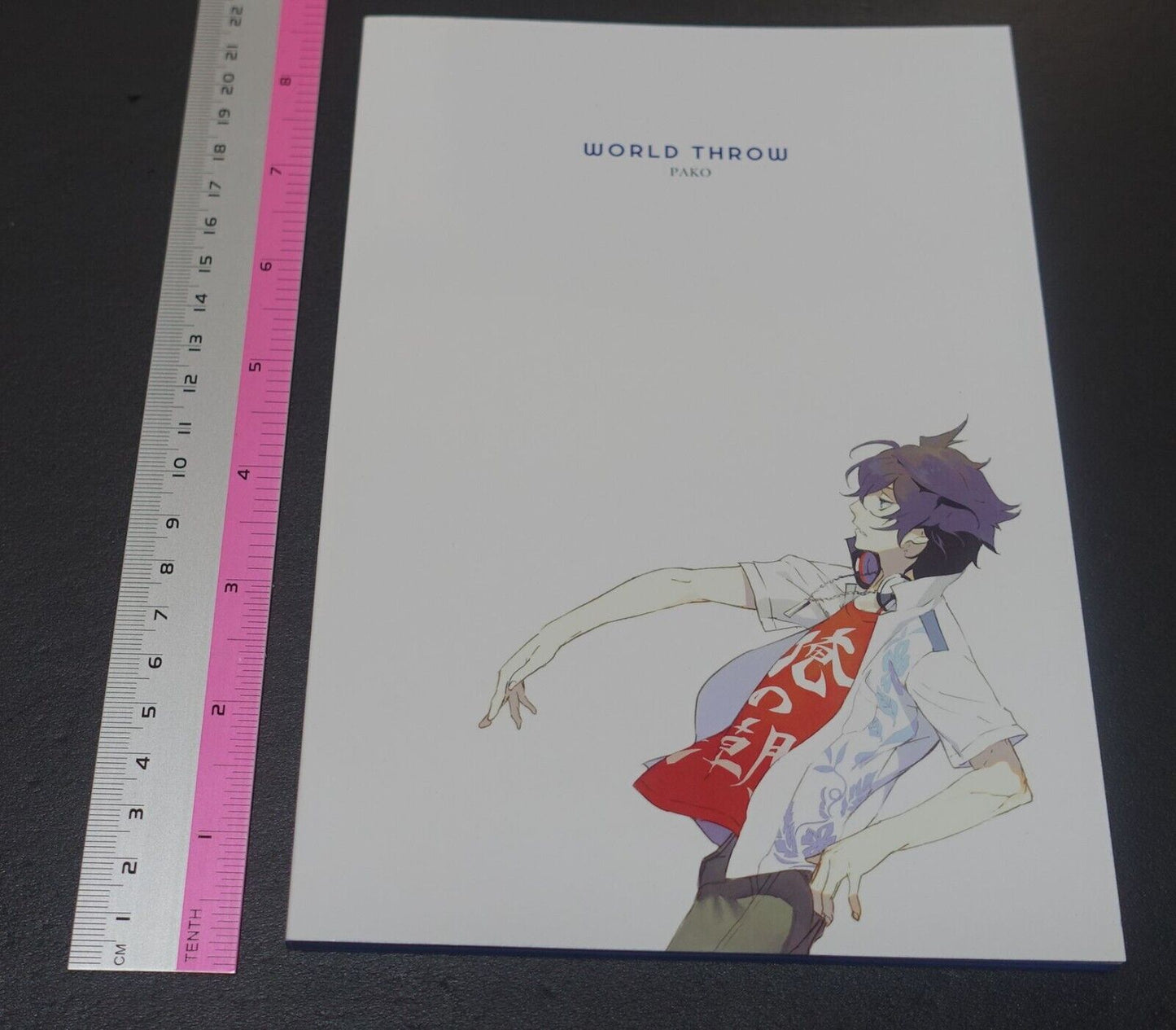 Pako Hyper Sonic Soul Scared Rider Xechs Designer's Fan Art Book WORLD THROW 