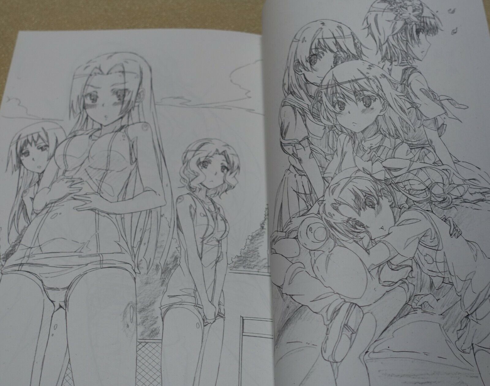 Yataneko A Certain Scientific Railgun Infinite Stratos Staff's Fan Art book 