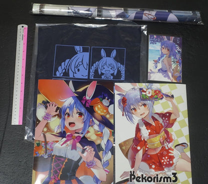 WIREFRAME Yuuki Hagure Usada Pekora Designer's Art Book & Goods Set C101 