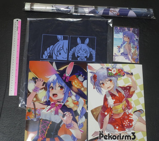 WIREFRAME Yuuki Hagure Usada Pekora Designer's Art Book & Goods Set C101 