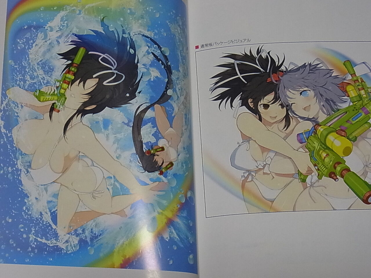 Senran Kagura PEACH BEACH SPLASH White Bikini Girls Art Book HIBAROCK PARTY 