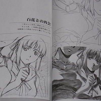 Hiderou Horibe Rough Illustration Book FRAGMENTS BLUE RARE 