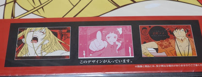 Bakemonogatari 42 x 29.5cm Poster Kizumonogatari 18 pieces set 