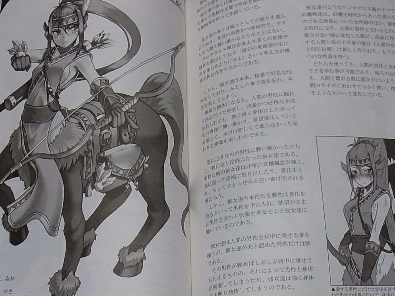 Kurobinega Monster Girl Encyclopedia vol.1 ?236page 