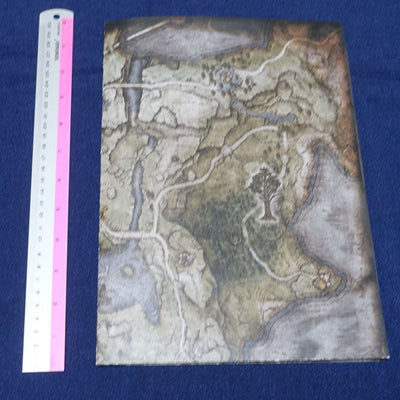 ELDEN RING World Map Poster Reversible 