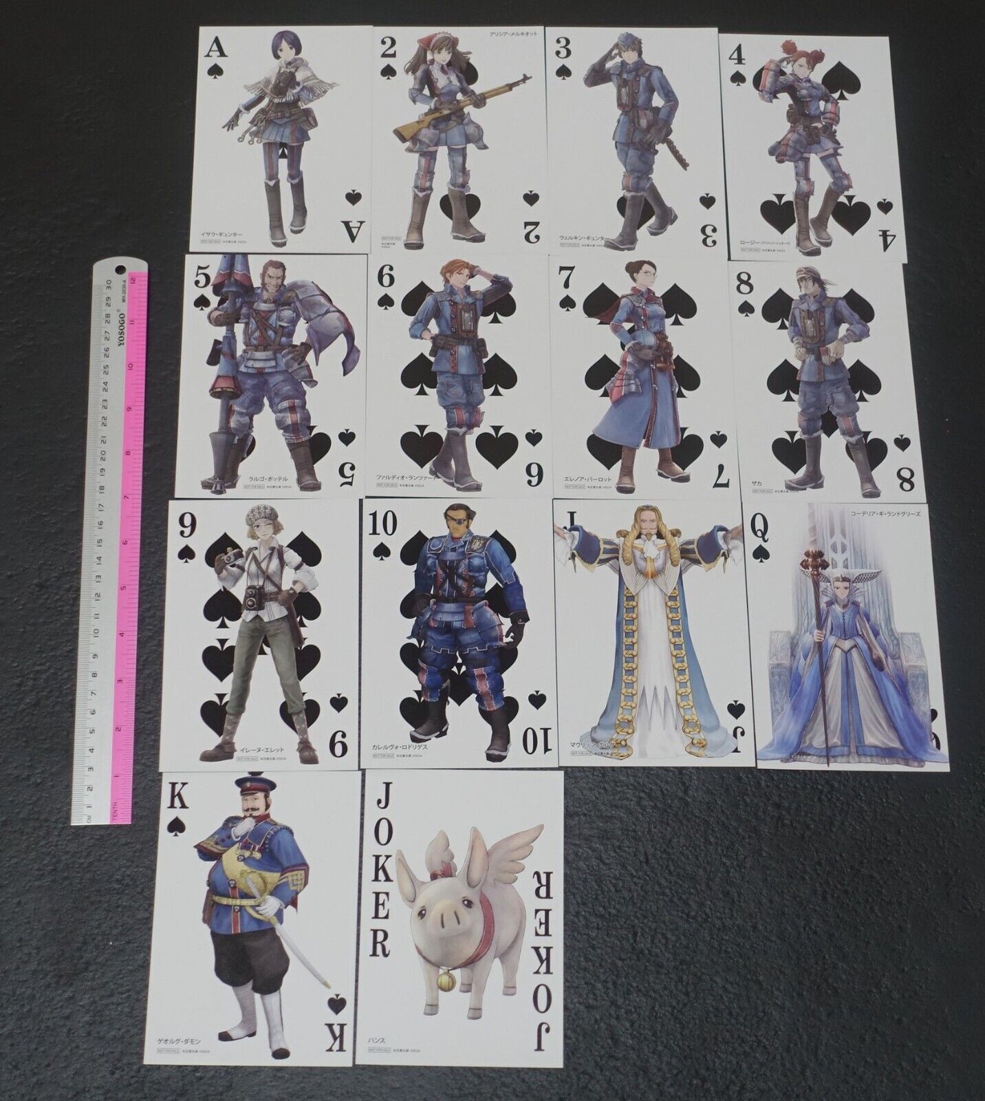 Raita Exhibition Event Valkyria Chronicles Playing Card Style Art Card 12 pieces 