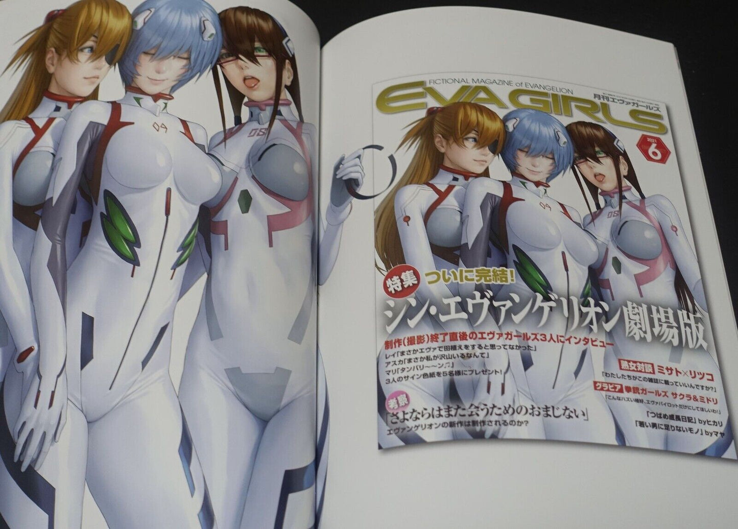 Castlism EVANGELION Fan Art Book EVA GIRLS ILLUSTRATIONS 8 