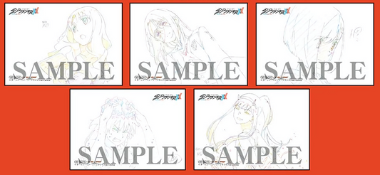 Darling in the Franxx Print Key Frame Art Card 5 pieces set 