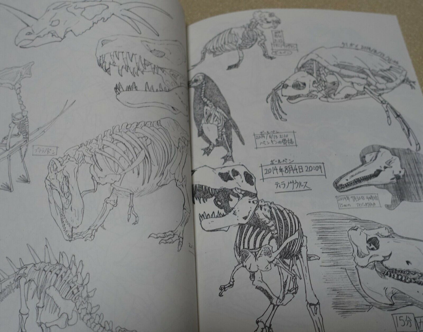 Naoki Kobayashi Motion Sketch Japanese Animation Illustrator's Art Work Book 