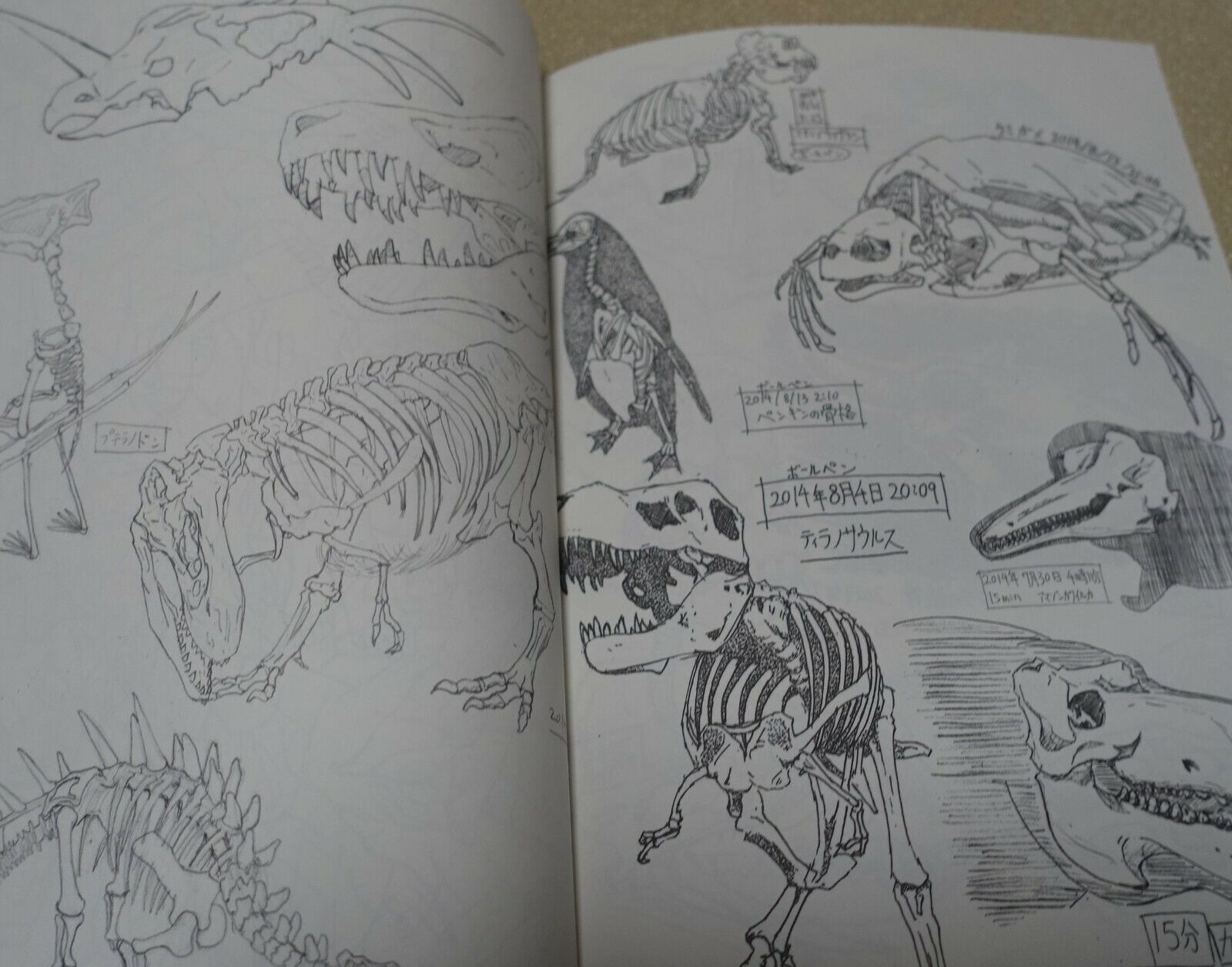 Naoki Kobayashi Motion Sketch Japanese Animation Illustrator's Art Work Book 