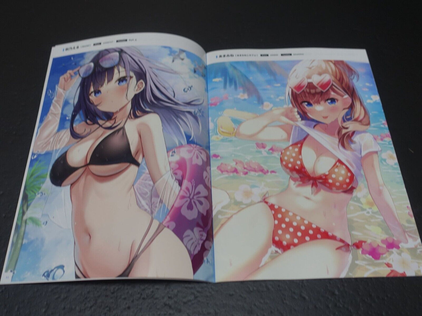 Melonbooks Comic Market 100 Art Book & Goods Set C100 