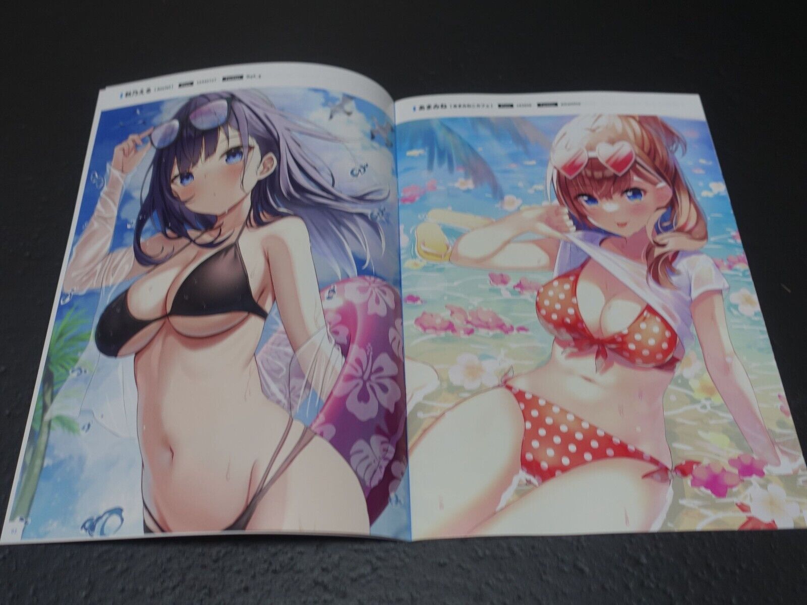 Melonbooks Comic Market 100 Art Book & Goods Set C100 