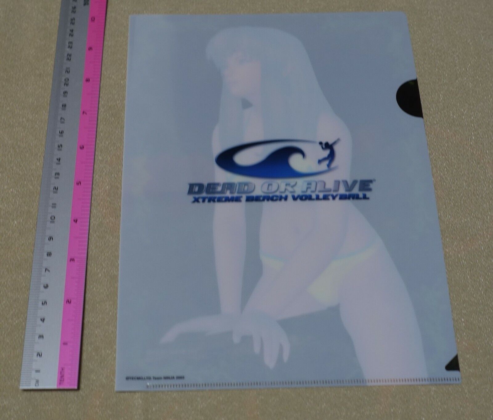Dead or Alive Xtreme PVC Art Sheet Clear File Hitomi 