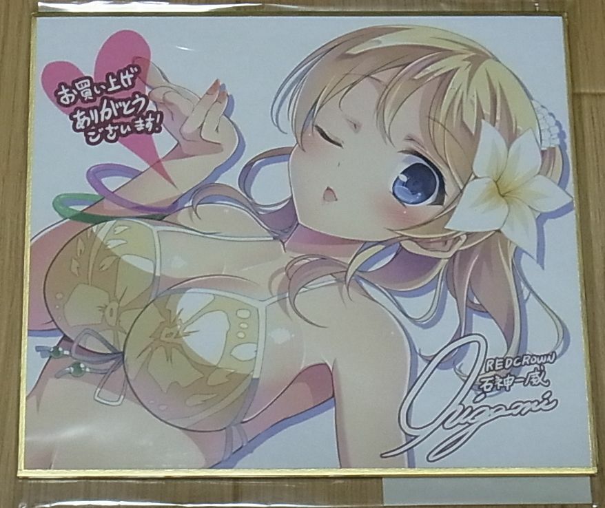 Ichii Ishigami LOVE LIVE! Eri Ayase Fan Art SHIKISHI ART BOARD 