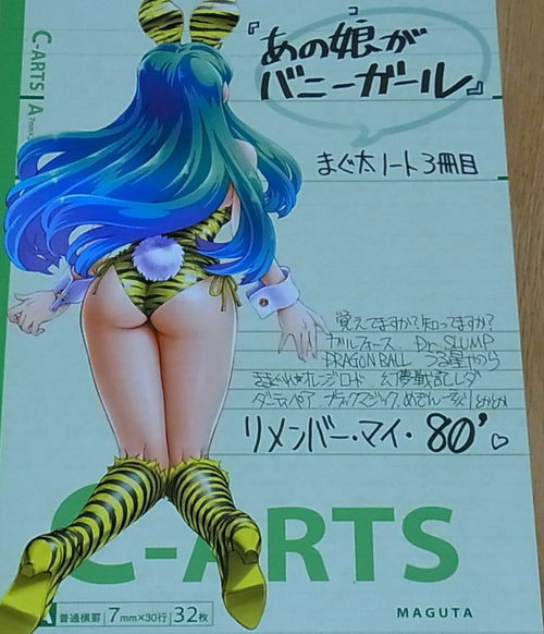 Maguta 80's Animation Heroines Bunny Girl Style Color Fan Art Book Anoko ga 