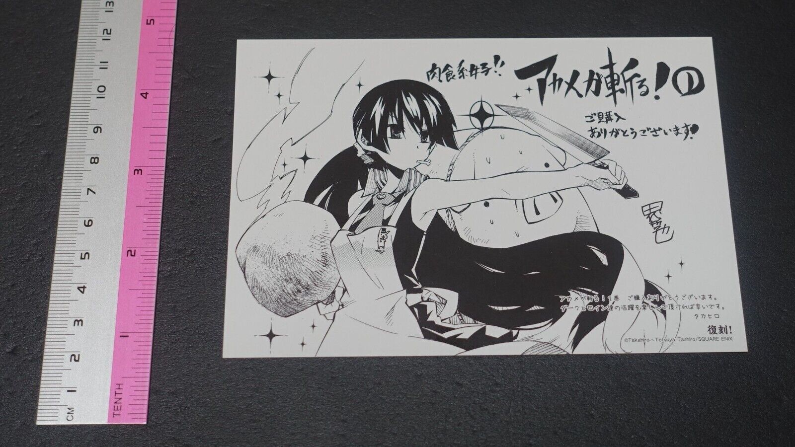 Tetsuya Tashiro Akame ga Kill! Privilege Art Card G Akame 