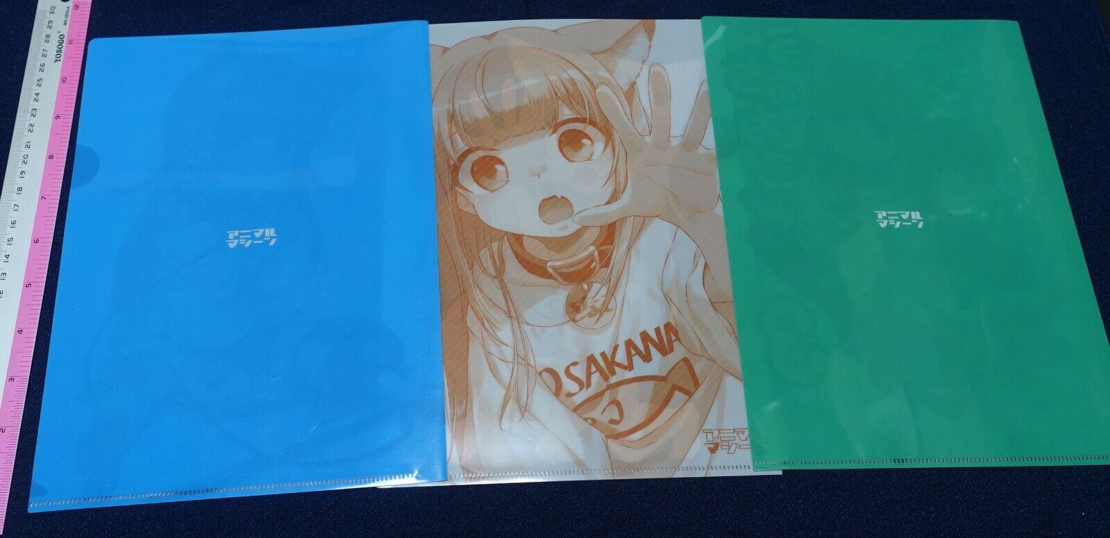 Animal Machine My Cat is a Kawaii Girl PVC Art Sheet 3 piece set Clear File 