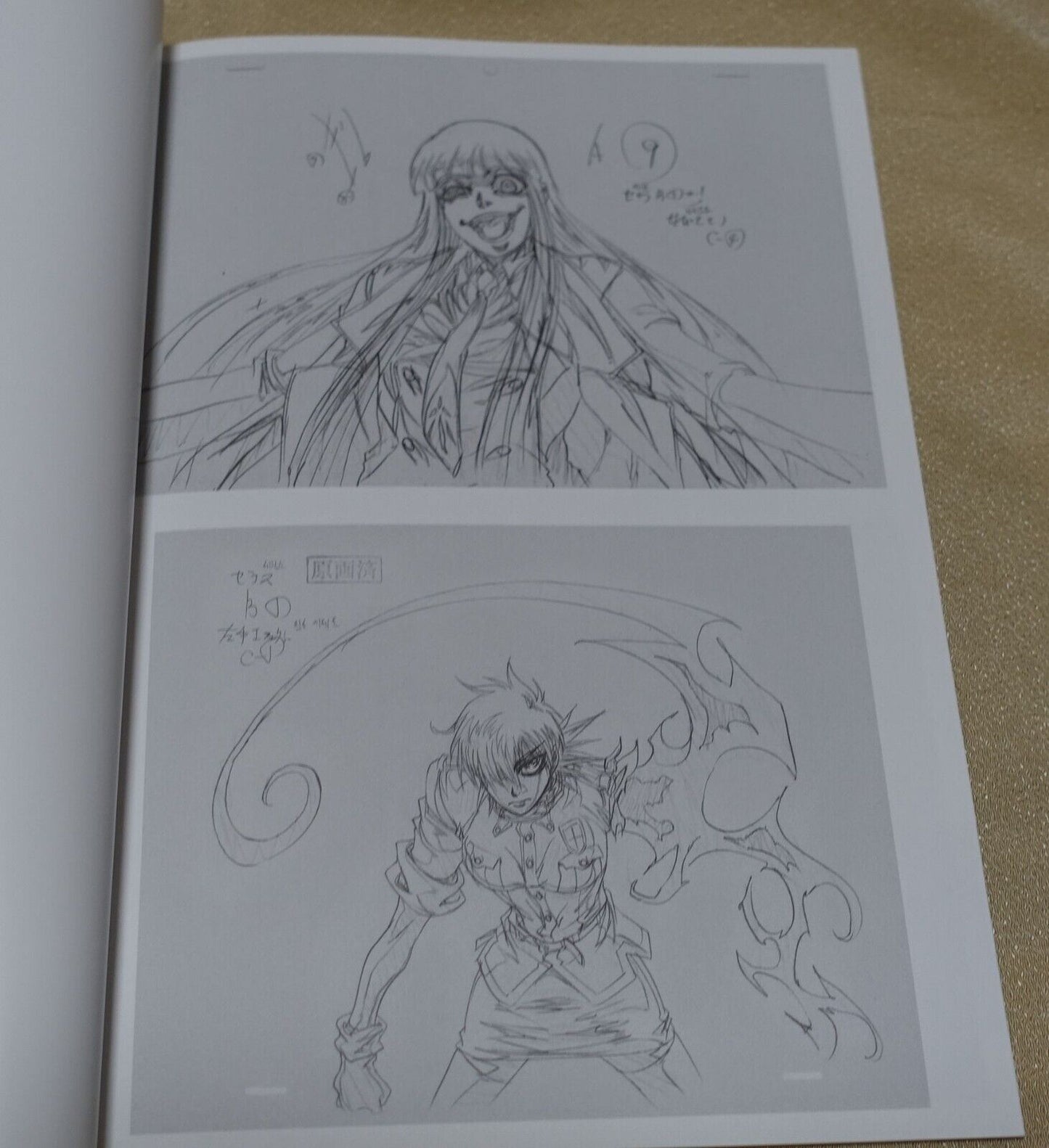 RYOJI NAKAMORI WORKS 2011-2012 HELLSING Key Frame art collection book 