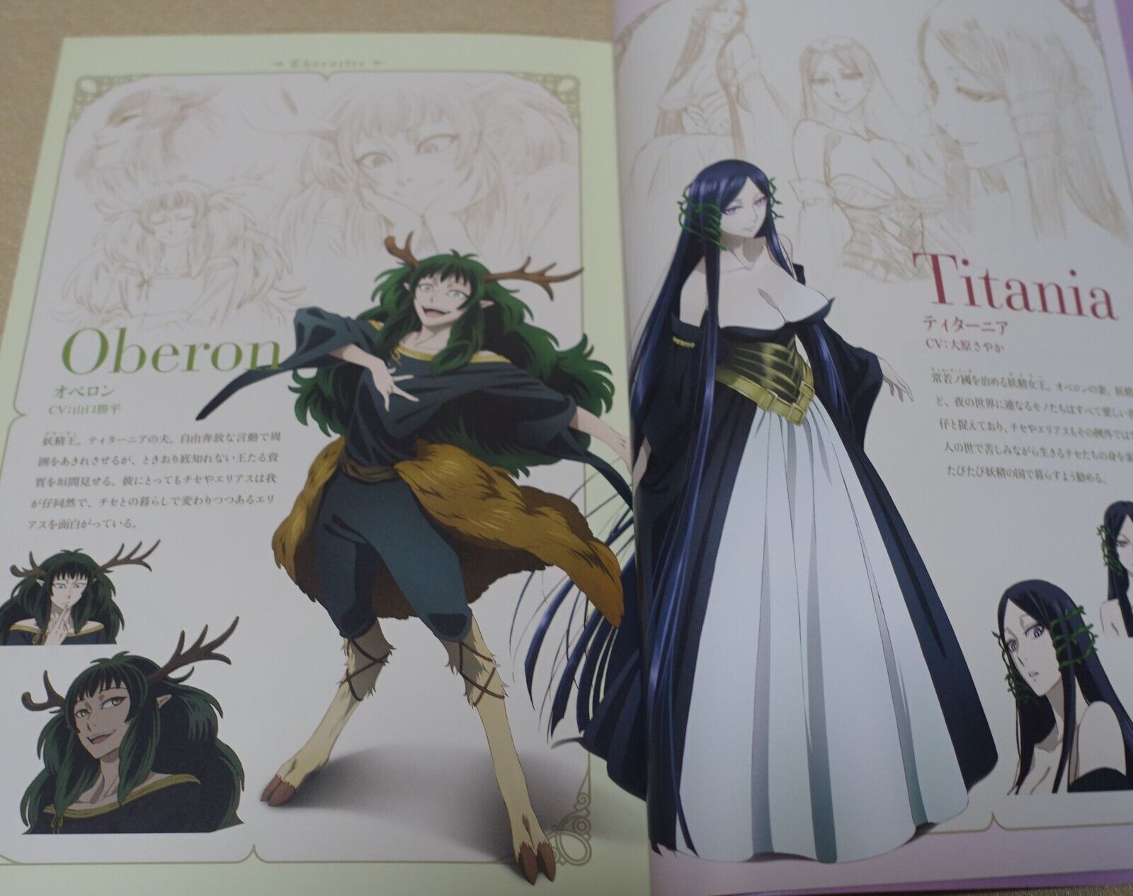 WIT STUDIO The Ancient Magus Bride Mahou Tsukai no Yome TV Animation Works 3rd 