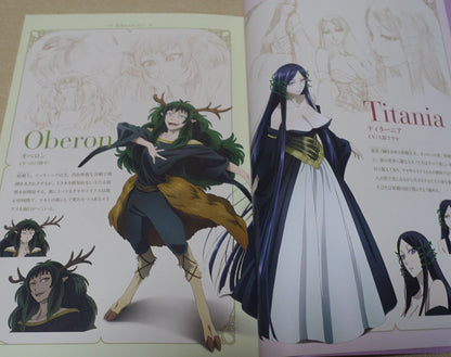 WIT STUDIO The Ancient Magus Bride Mahou Tsukai no Yome TV Animation Works 3rd 