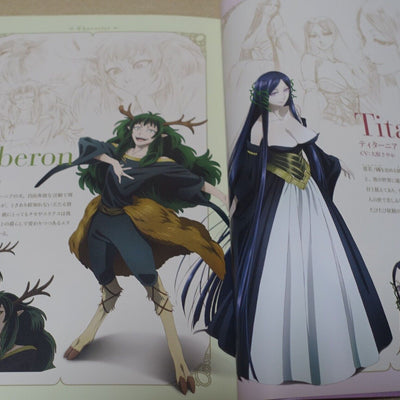 WIT STUDIO The Ancient Magus Bride Mahou Tsukai no Yome TV Animation Works 3rd 