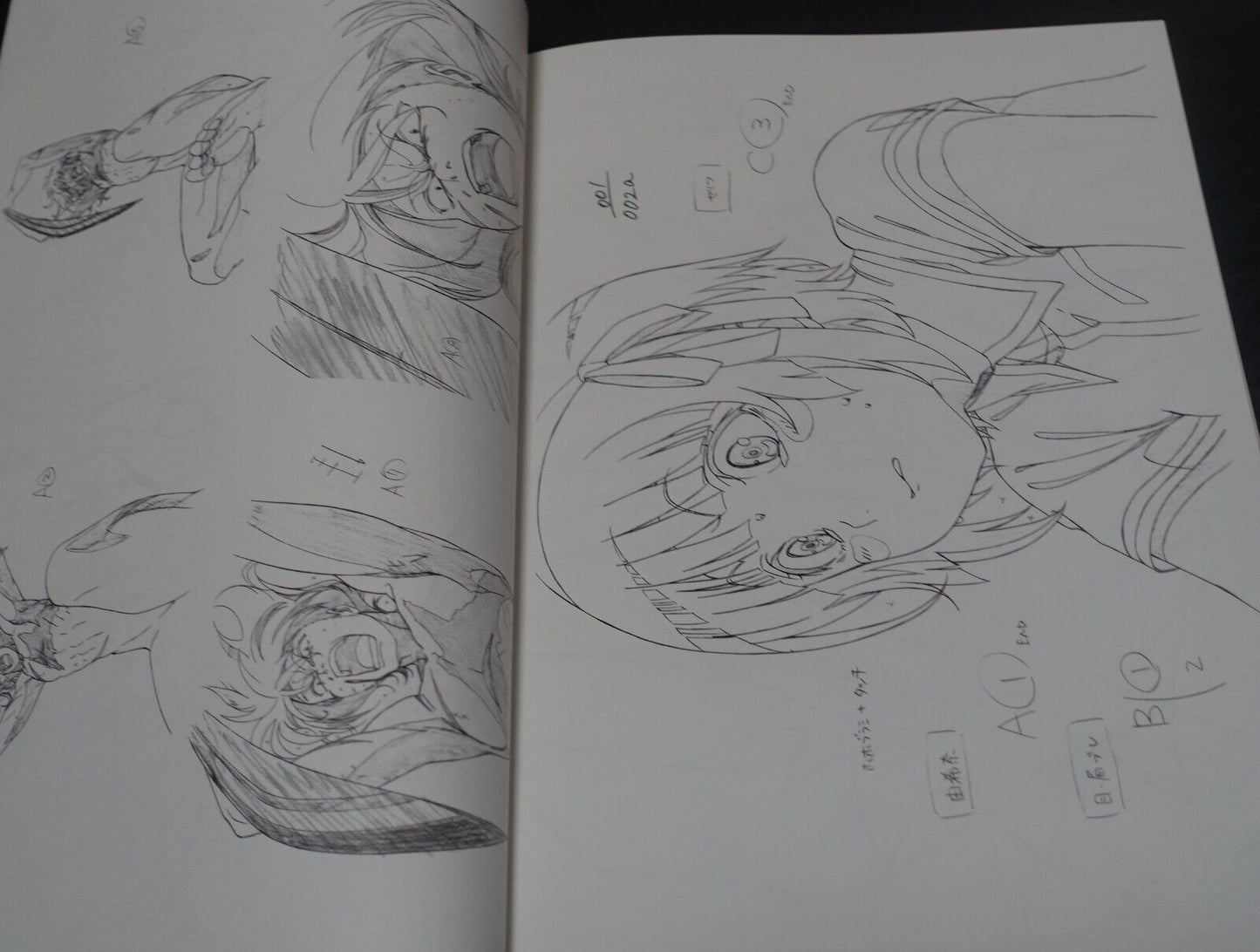 Animation Kuromukuro Key Frame Art Work Book of Black 