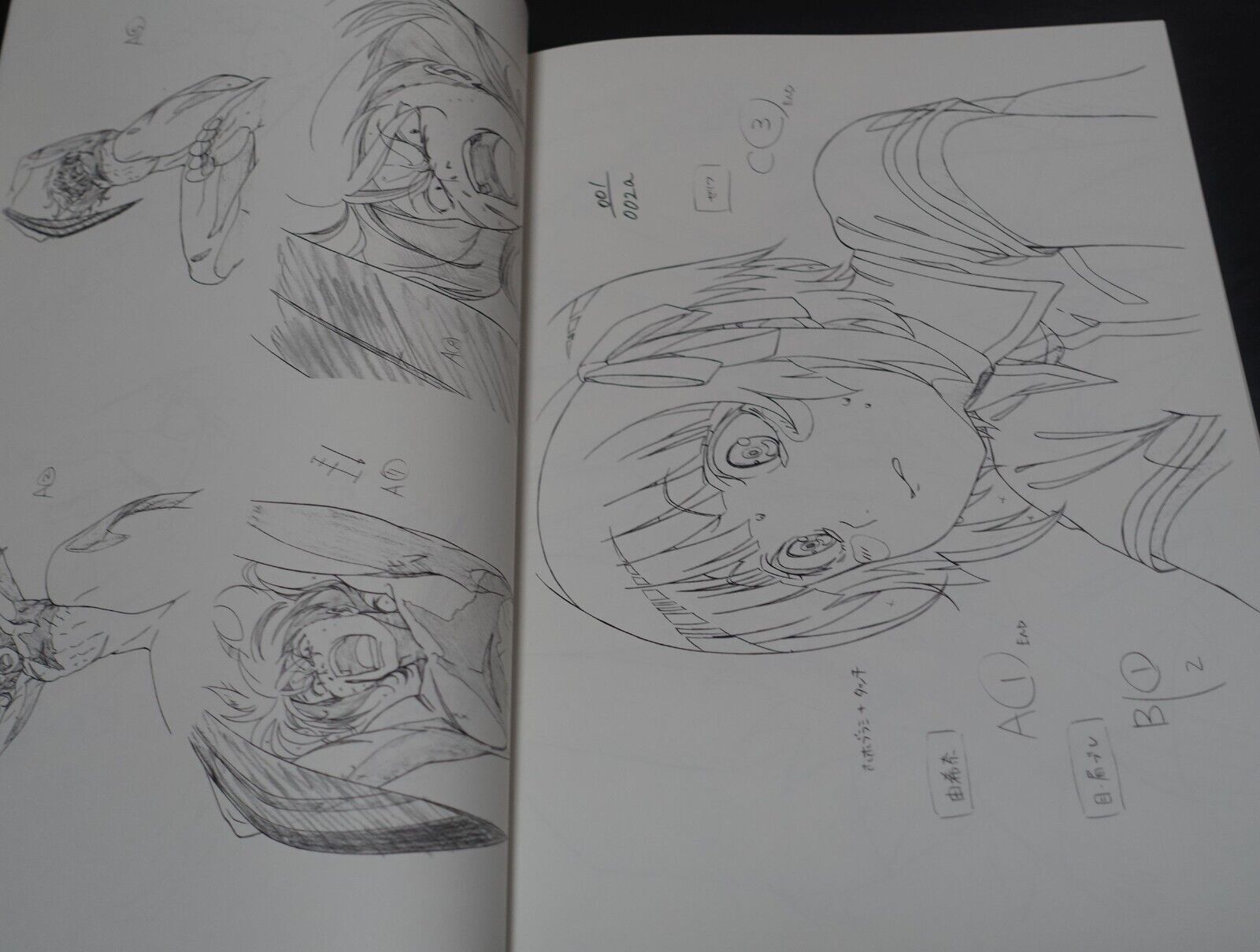 Animation Kuromukuro Key Frame Art Work Book of Black 