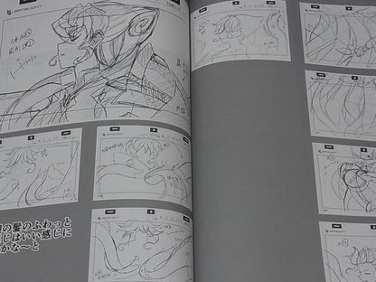 Senki Zesshou Symphogear Key Frame Art Collection Doujinshi Hanyu Rough 02 