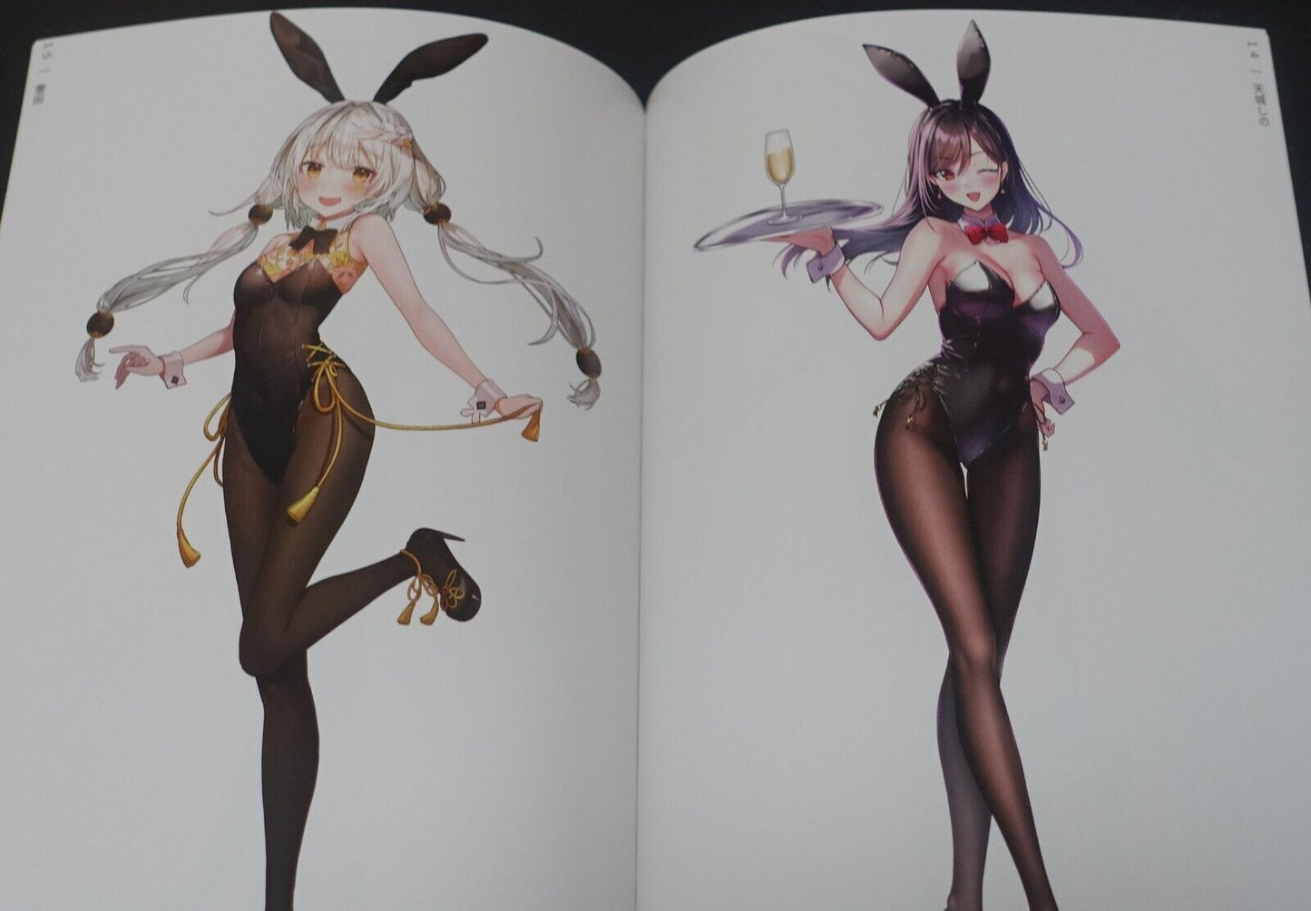 GAKAKU Original Bunny Girl Art Book BUNNY HONEY BUNNY STANDING BUNNY 1 & 2 