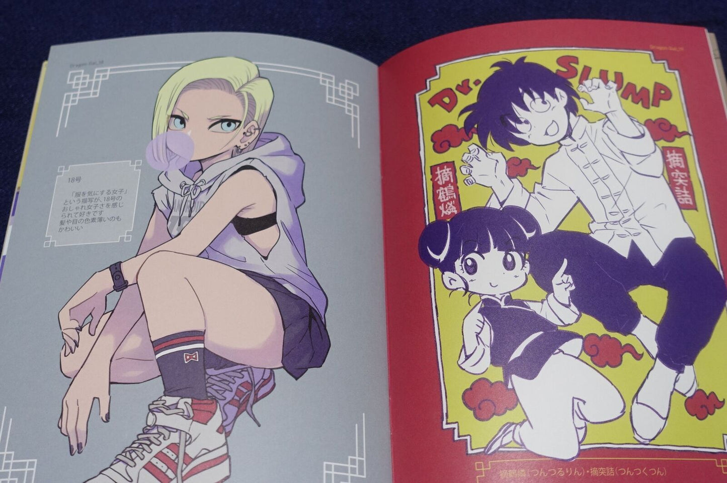 TWINKLE mago Dragon Ball Fan Art Book DRAGONGAL 