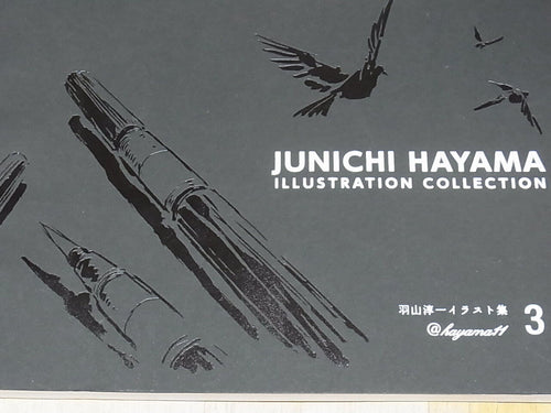 JUNICHI HAYAMA ILLUSTRATION COLLECTION3 142page 
