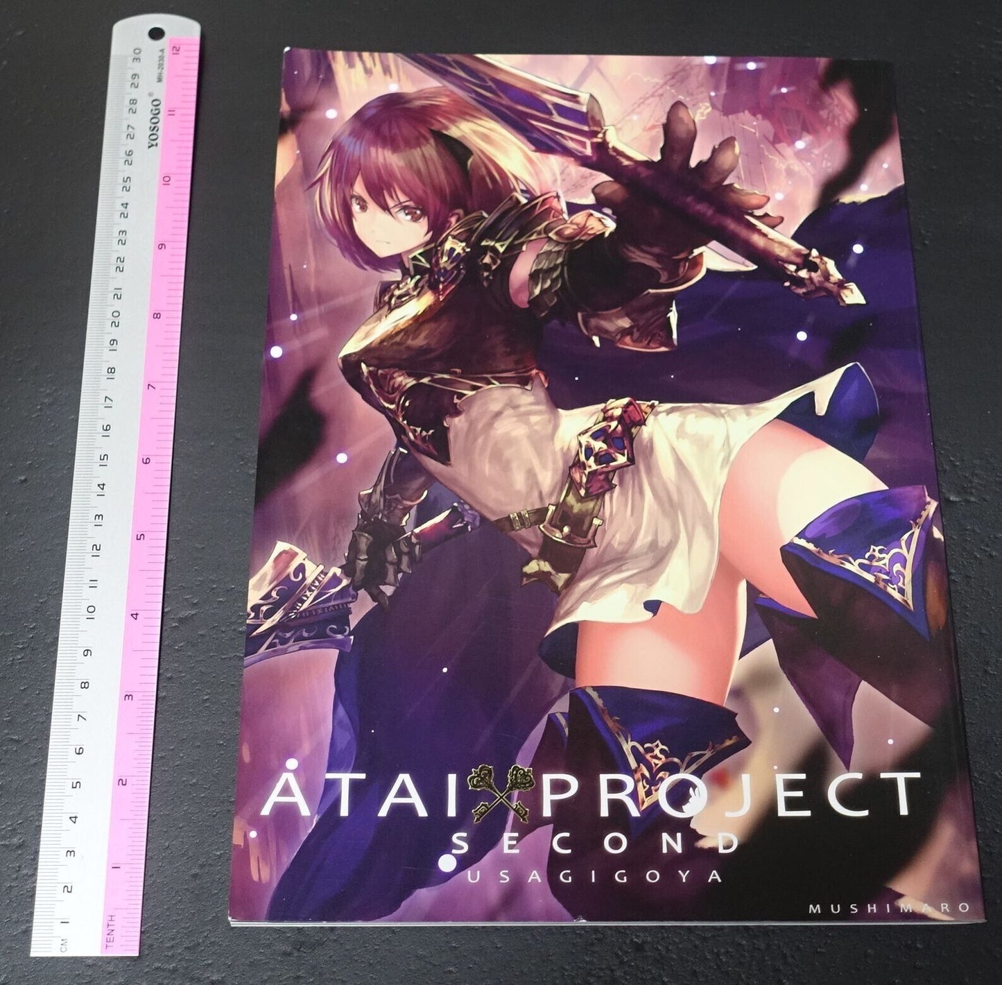 MUSHIMARO USAGIGOYA Art Book ATAI PROJECT SECOND 
