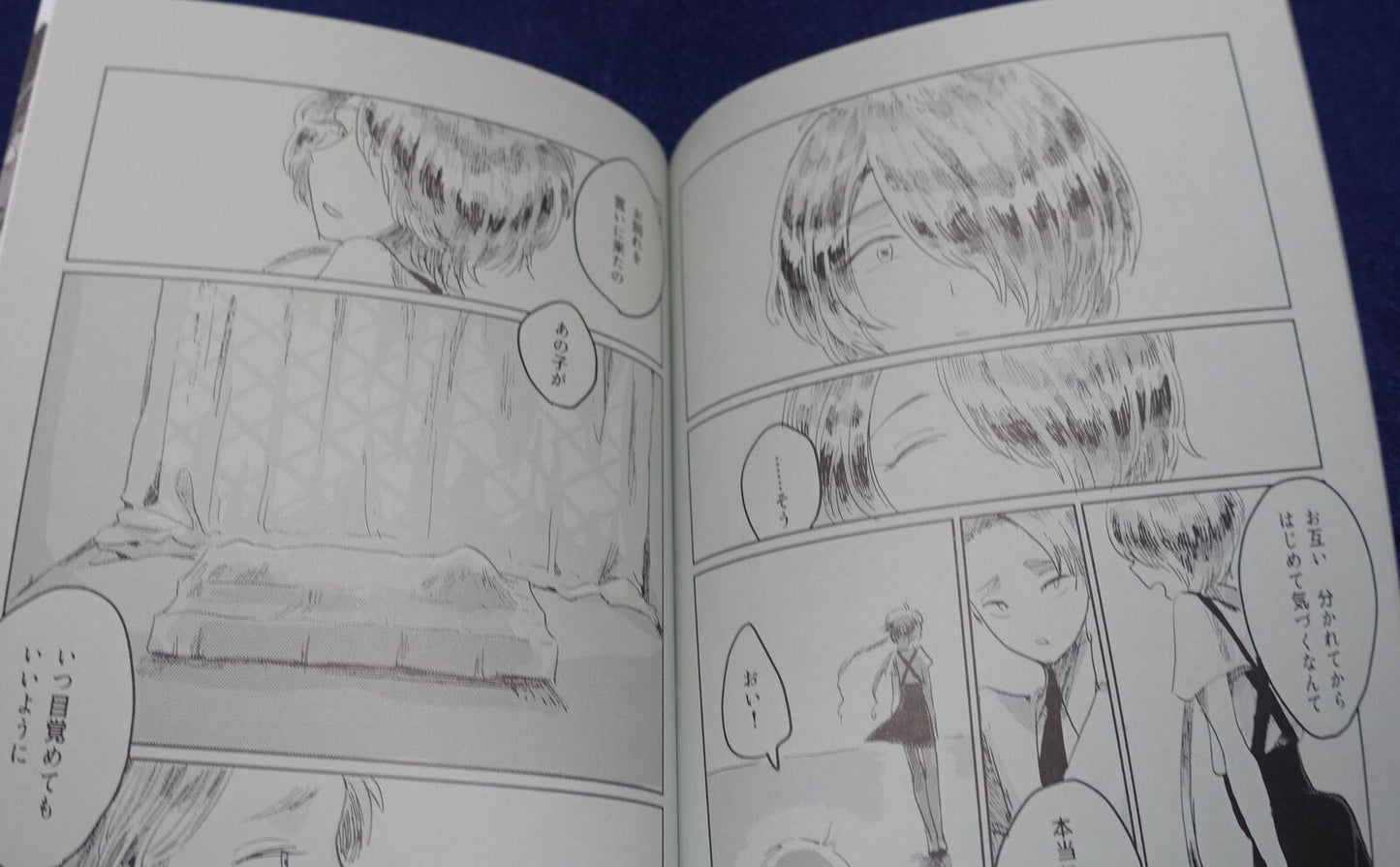 Houseki no Kuni Land of the Lustrous Fan Made Comic miss you and appearance 