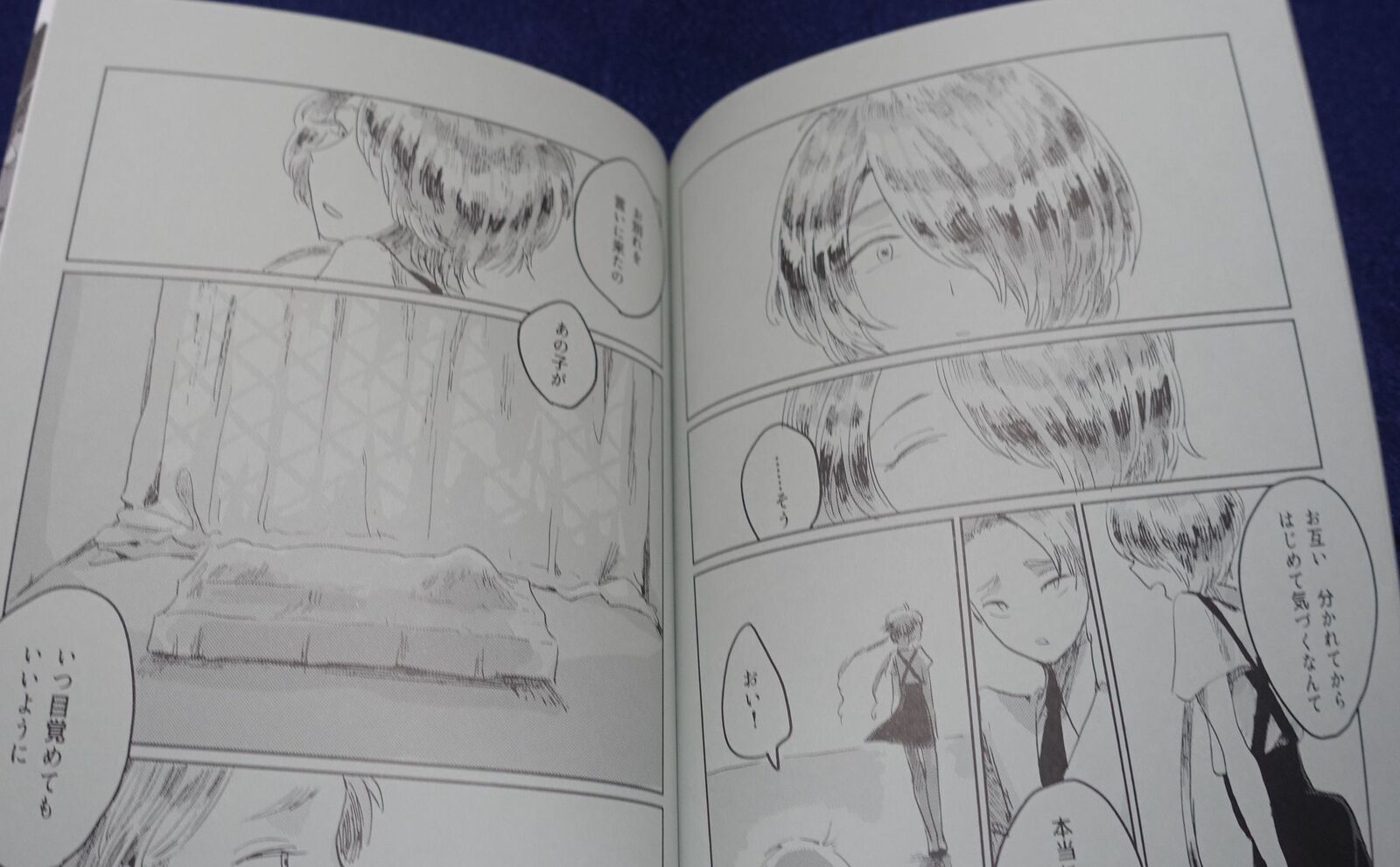 Houseki no Kuni Land of the Lustrous Fan Made Comic miss you and appearance 