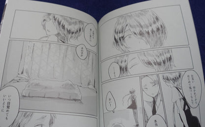 Houseki no Kuni Land of the Lustrous Fan Made Comic miss you and appearance 