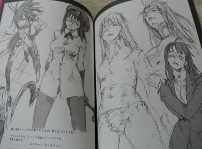 Keitaro Takahashi Illustration art book Kuuchuuloukaku6 Jormungand DESTRO246 
