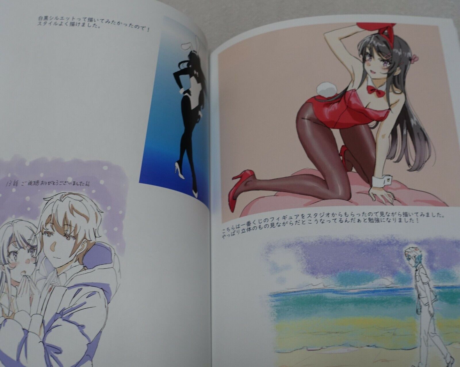 C99 Rascal Does Not Dream of Bunny Girl Senpai Animation Staffs Illustration Art 