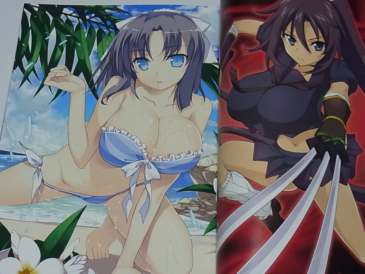 Senran Kagura SHINOVI VERSUS VISUAL ART FAN BOOK 102page 