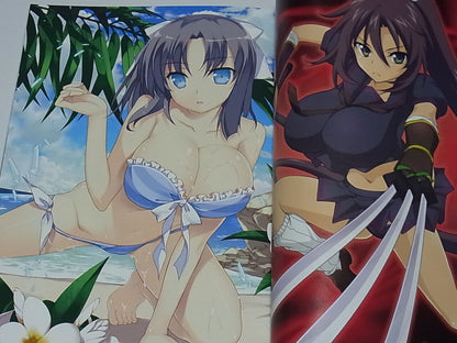 Senran Kagura SHINOVI VERSUS VISUAL ART FAN BOOK 102page 