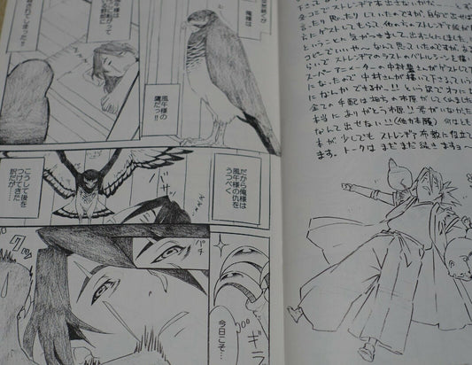 Igajirou Sword of the Stranger Fan Art & Comic Book Grind 