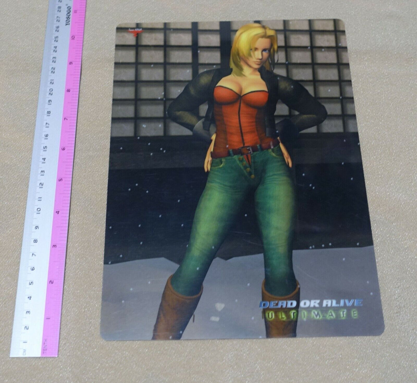 Dead or Alive ULTIMATE PVC Art Board Tina 