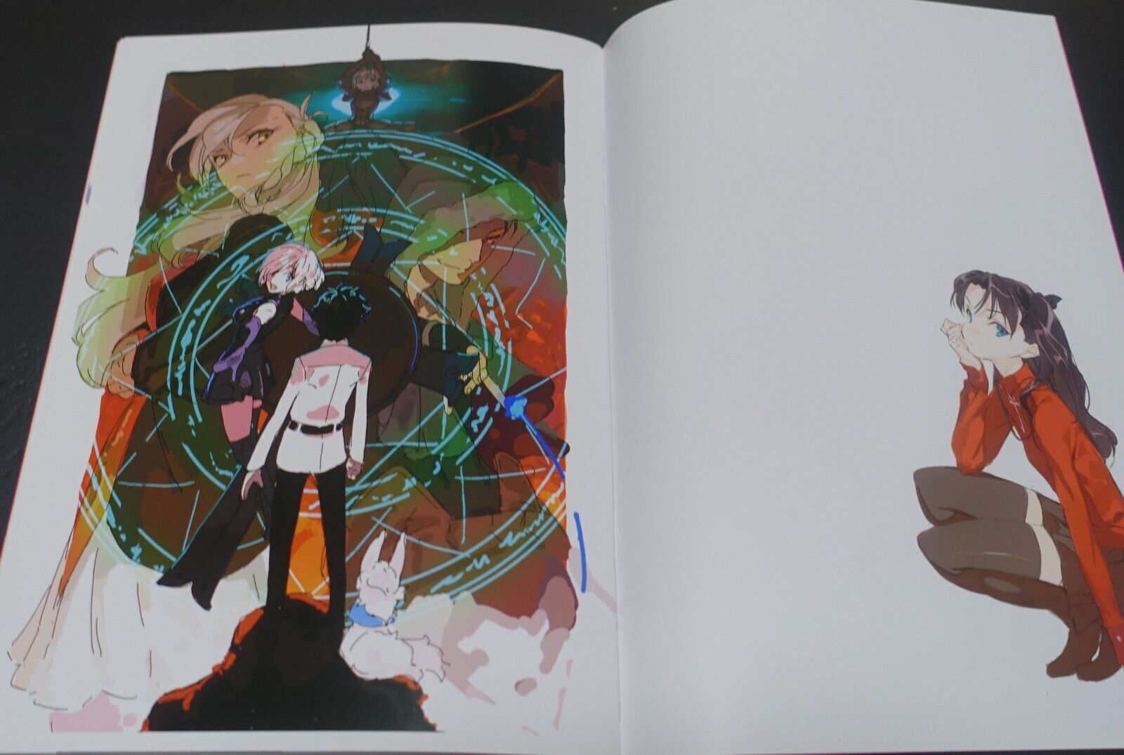 Pako Hyper Sonic Soul Fate Grand Order FGO Official Designer's Fan Art Book 8Set 