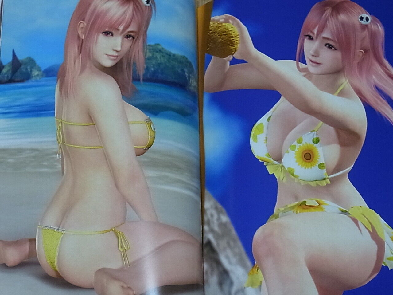 Dead Or Alive Xtreme3 Scarlet Venus Collection Photo Art Book 128page Hard Cover 