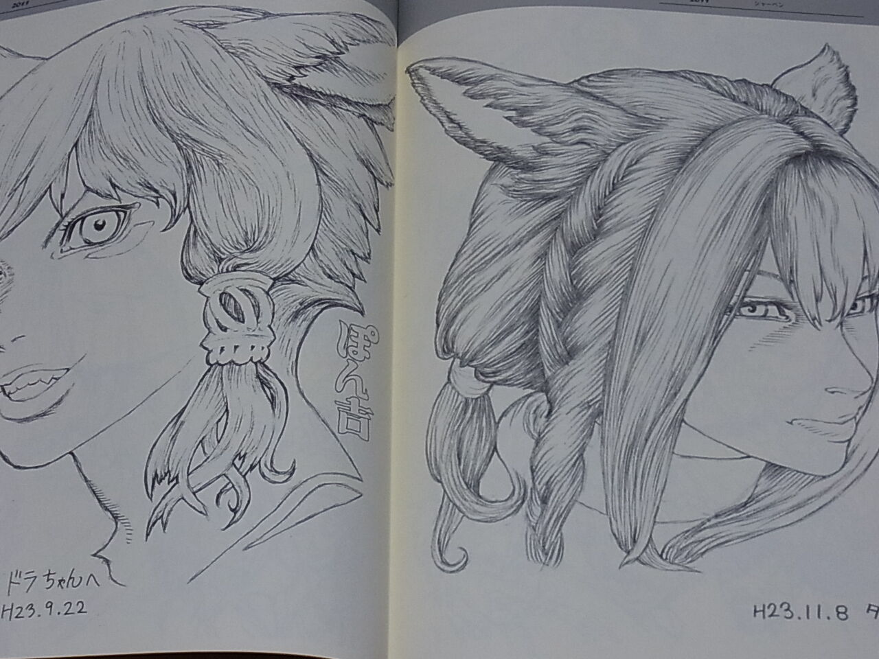 Ponkichi Illustration Art Book Ponkichi no Rough Hon 