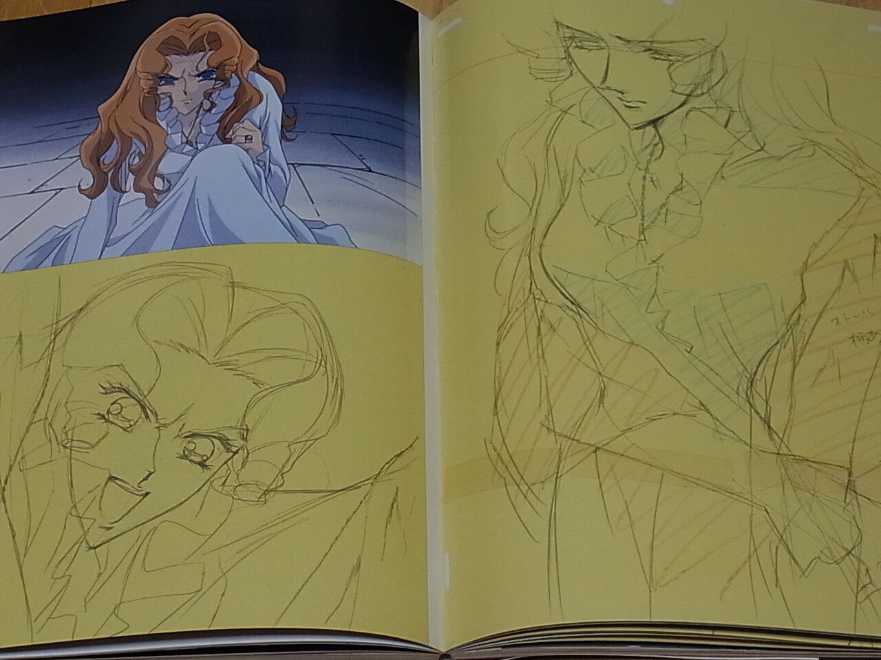REVOLUTIONARY GIRL UTENA Hard Core Art Books Set total 440page with paper bag 